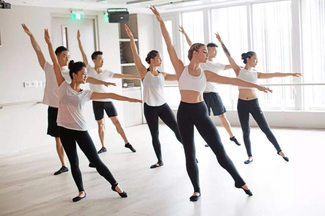 「动物 studio」续课率达90%,舞蹈 健身是健身领域新机会吗?