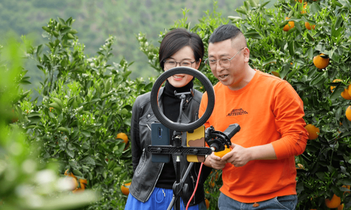 电商助力小脐橙长成大产业