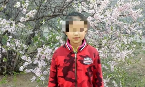 大连男孩侵犯杀害10岁女童，最后却逍遥法外，实在引人气愤！