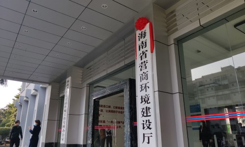 海南省营商环境建设厅揭牌成立
