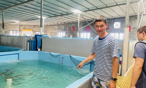 海南省退役军人系列故事《戎耀党旗》之031|刘德林：用诚信开拓水产养殖业新天地