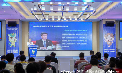 章一鸣：海南高新技术企业的发展战略