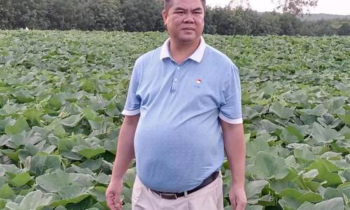 戎耀党旗之|朱建朝：带领邦新村走出“老三样”种植困局
