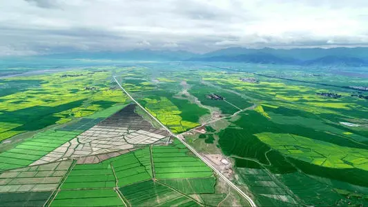 绿色转型全面推进 央地共建美丽中国