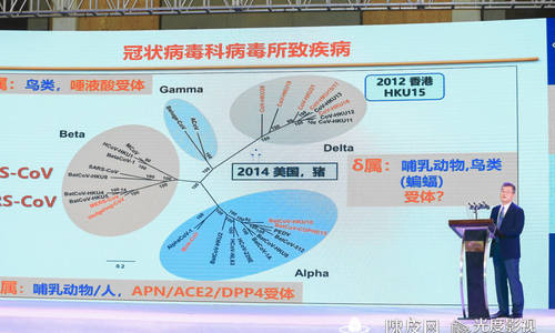 全军基因工程重点实验室主任金宁一：共患病毒病与防控