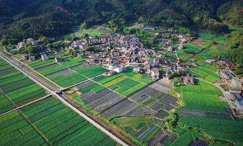 深化改革  乡村焕发新活力