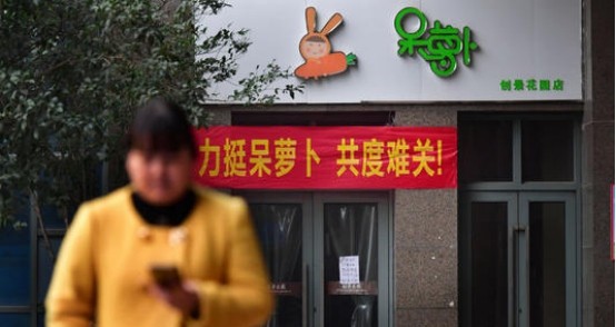 一个萝卜多个坑，生鲜电商有多难？