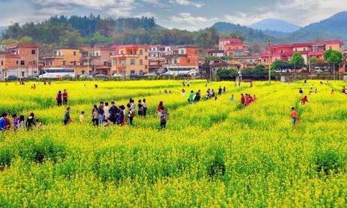 广州黄埔：“科技+旅游”建设美丽乡村