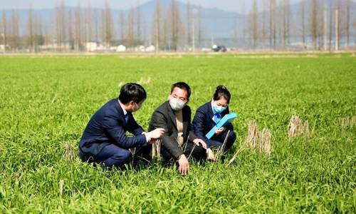 银行业加大信贷投放 全力保障春耕备耕资金需求