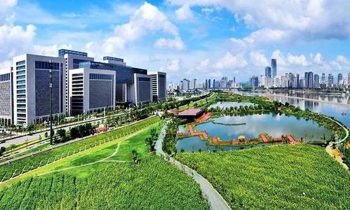 森林城市：让“推窗见绿、出门进林”成为现实