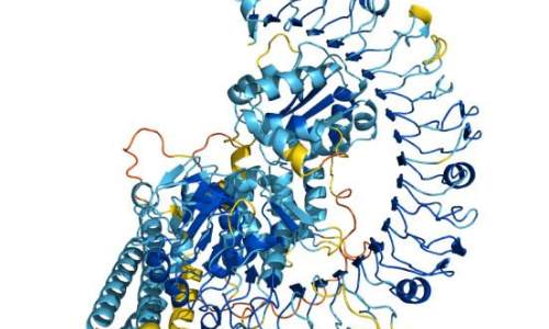预测蛋白质结构只是开始 AI或为生命科学领域带来巨变