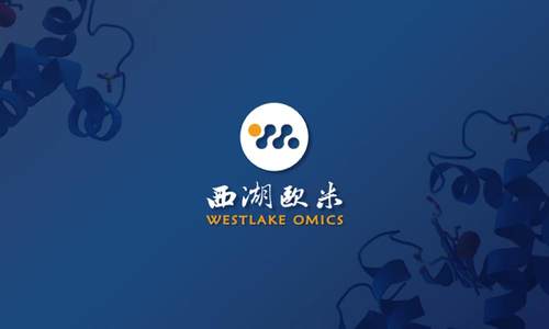 “西湖欧米”完成数千万元种子轮融资