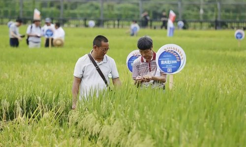 关注种业创新：做强中国种业，先要支持企业强筋壮骨