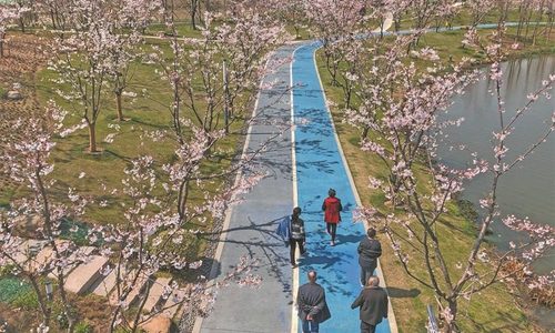 【文体市场面面观】城市漫步能否再造“网红之城”
