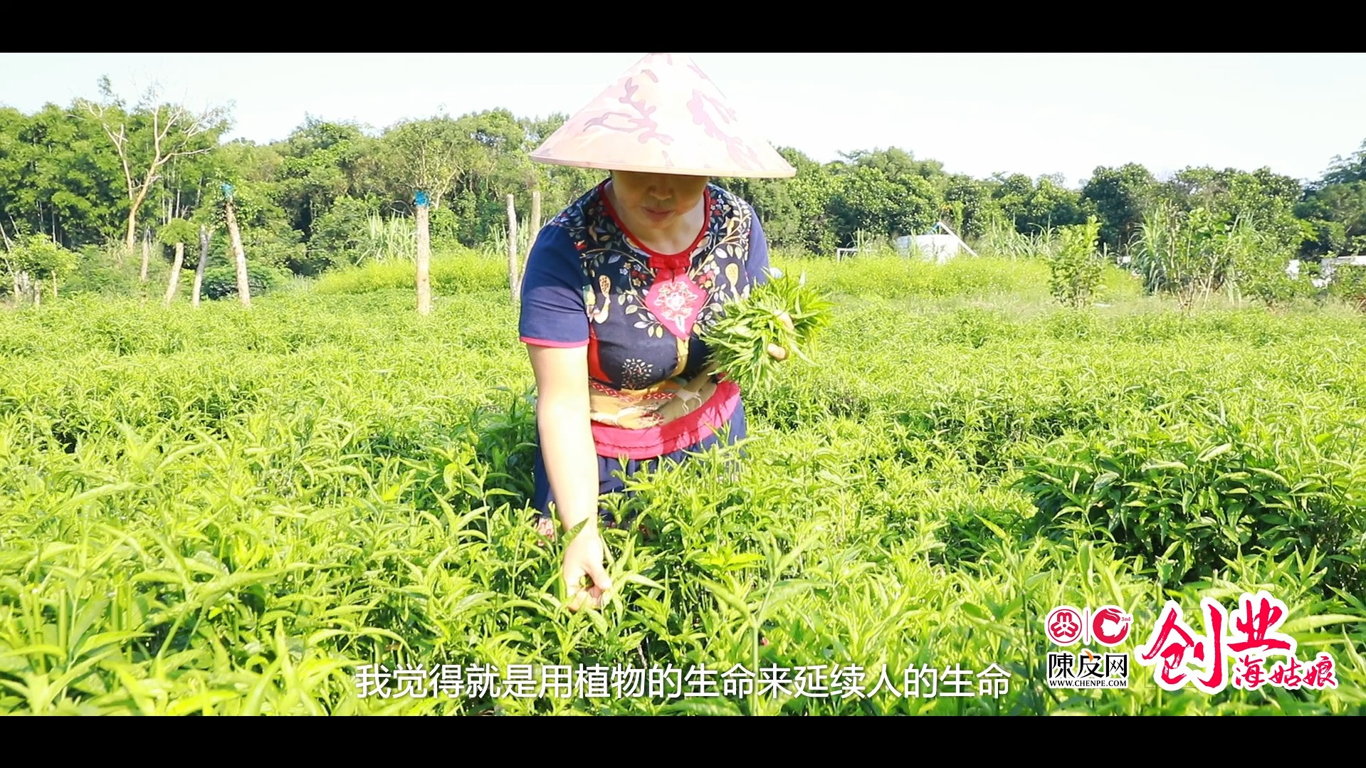 海南省妇联为您讲述2021年创业海姑娘的故事之二十一：高红霞——有机源于生态，健康来自山野