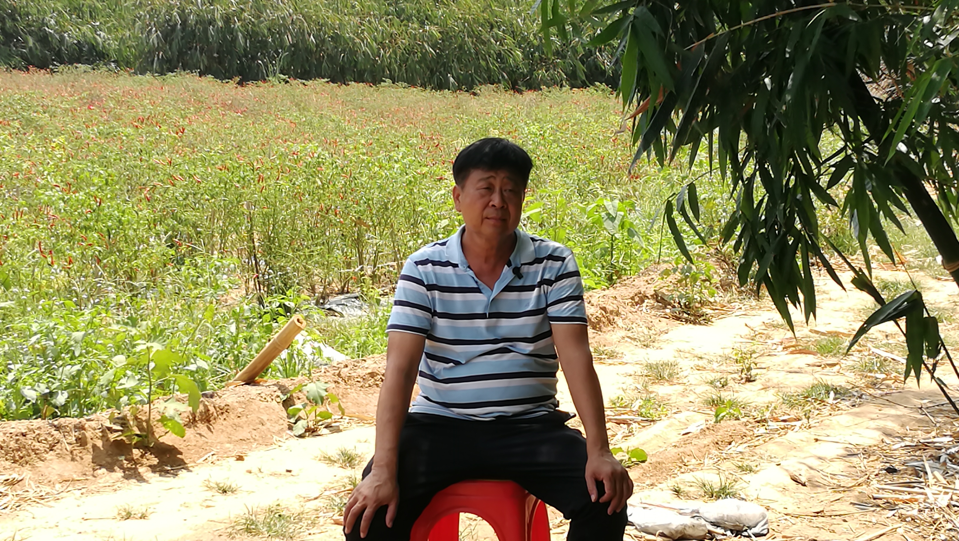戎耀党旗之|陈世奇：26年砥砺前行 用坚持和智慧书写创业传奇