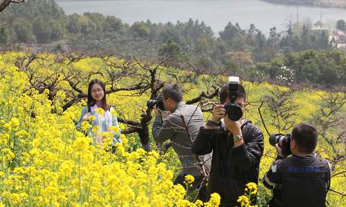乡村旅游逆境中破局