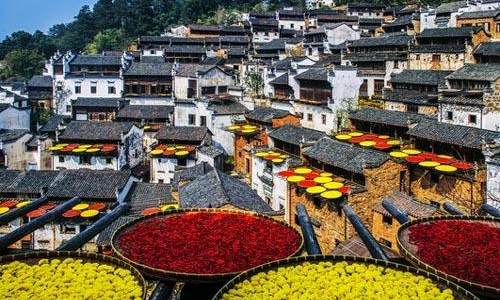 江西婺源激活美丽经济  打造旅游新业态 