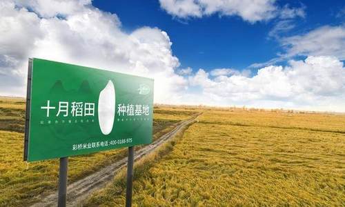 十月稻田宣布完成14.5亿元B轮融资 启承资本超额跟投