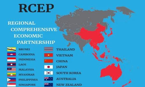 RCEP正式对韩生效将释放哪些发展红利？