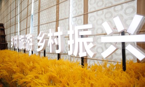 推动农村金融创新 助力乡村振兴