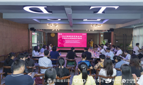 2020海南自贸港女性创新创业投融资对接会精准助力创业企业