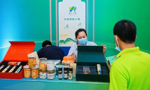 大坡镇出席海南一镇一品特色产业发展论坛，演示“1+3+N”母子化品牌建设思路