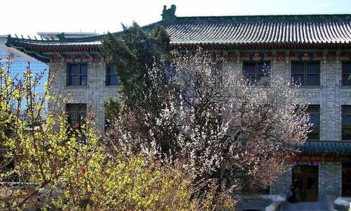 庐山擦亮“中医杏林文化发源地”金字招牌