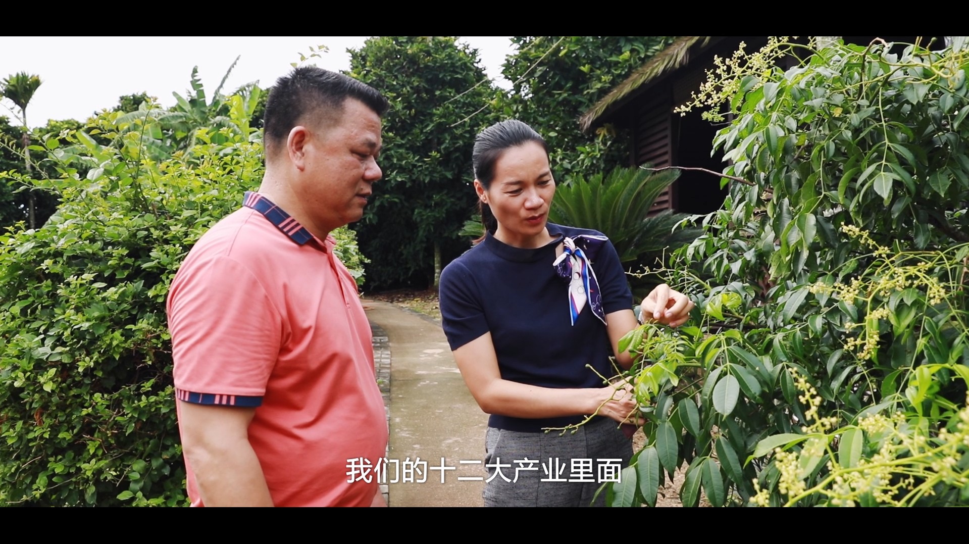 海南省妇联为您讲述2021年创业海姑娘的故事之六：许方瑜——做绿色、健康、环保农业