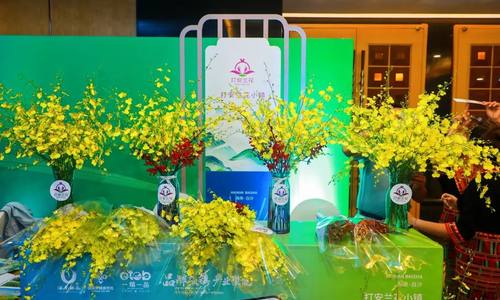 打安镇出席海南一镇一品特色产业发展论坛，独特区域优势催生“上品”兰花产业