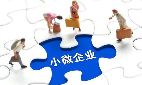 落实落细小微企业纾困政策