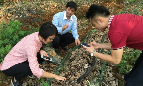 海南“专精特新”企业|北鸥生物——用生物能源技术造福农业