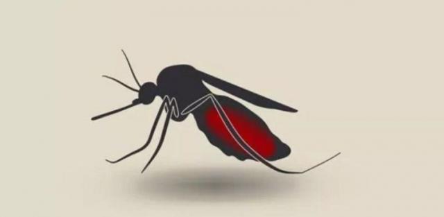 今日，世界卫生组织发布新闻公报称，中国正式获得世卫消除疟疾认证1.jpg