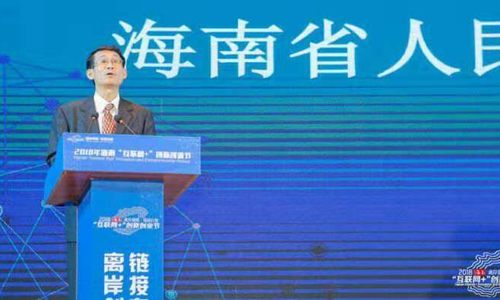 海南省政府副省长沈丹阳：围绕区块链发展数字经济，对海南互联网产业有重大意义 