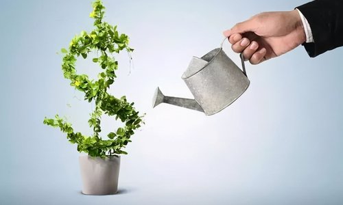 实招实策为中小企业“护航”