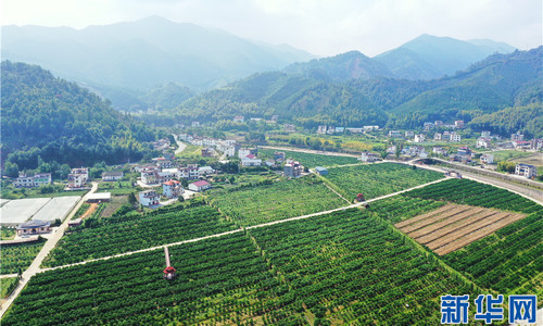 最是一年春好处丨乡村振兴路上的“硒”望愿景