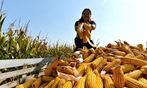 夏粮丰收来之不易 为全年粮食稳产提供了坚实支撑