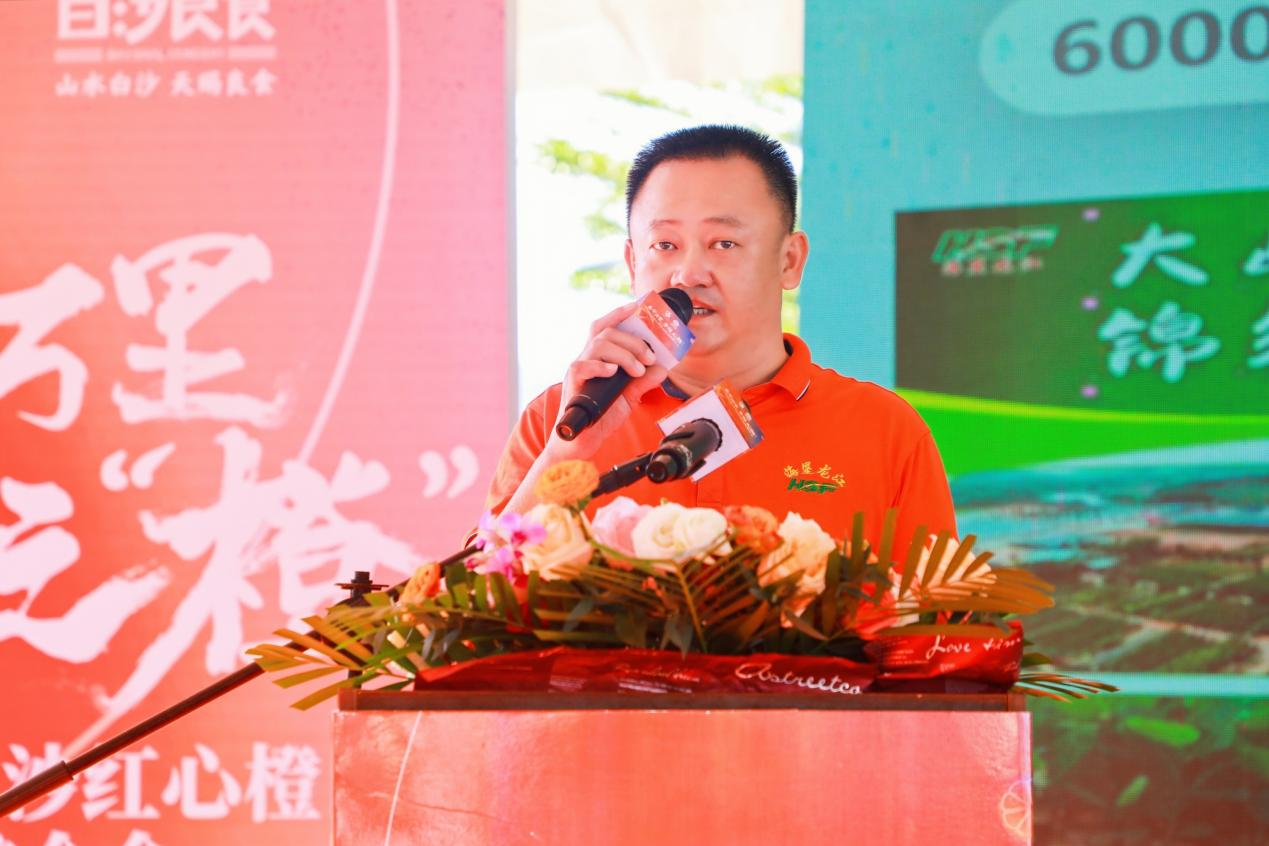 图片13.png