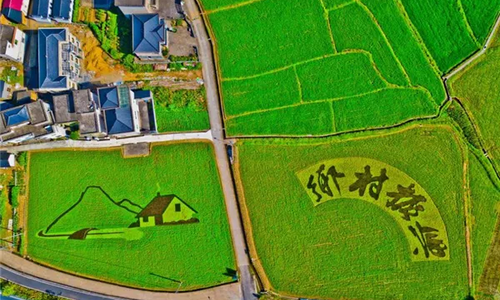全面推进乡村振兴，各地这样干