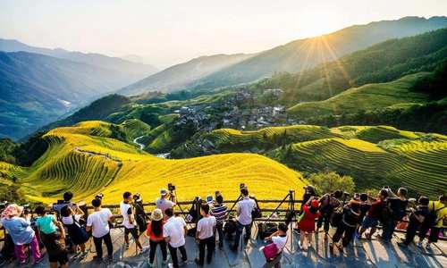 百花开江城 光影绘未来