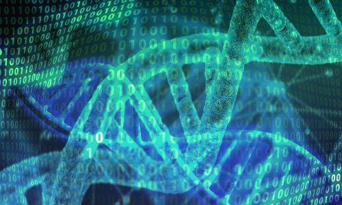 我科学家发现新型高效杀虫蛋白