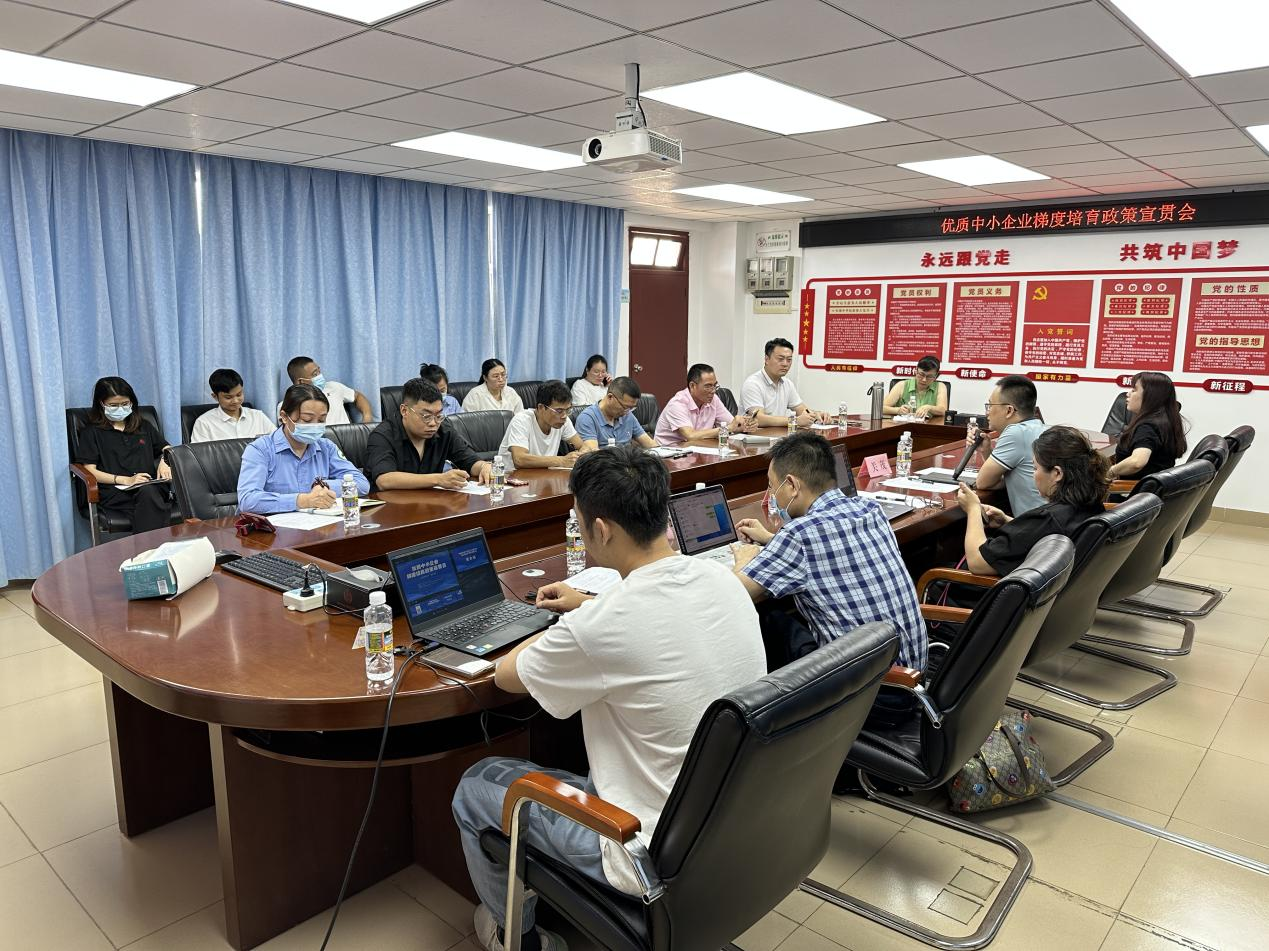 儋州市科工信局组织开展优质中小企业梯度培育政策宣贯活动