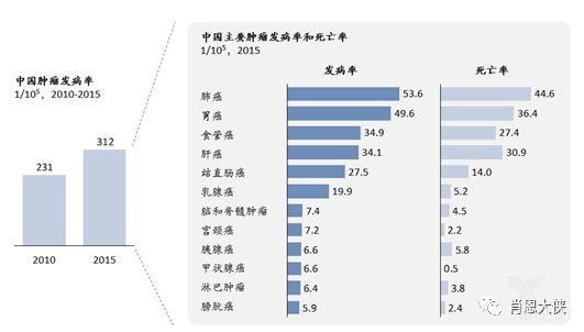 中国肿瘤发病率