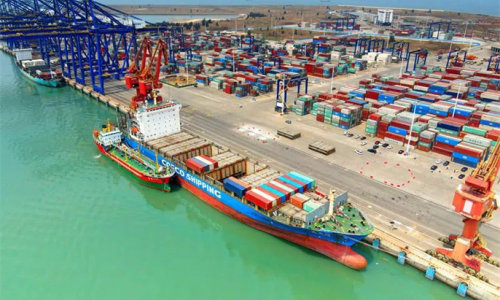 自贸港加工增值超30% 免关税政策首次惠及海产品