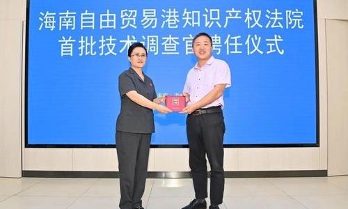 海南自贸港知识产权法院首聘4名技术调查官