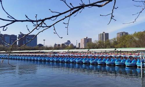 北京五家市属公园游船本周起将陆续开航  文旅业起航