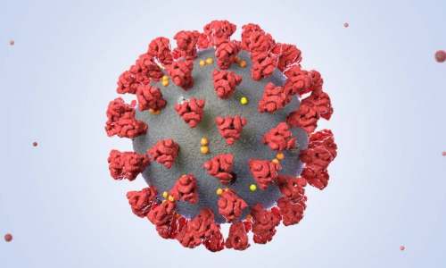 新冠病毒能在塑料表面存活72小时？最新NEJM研究评估病毒体外稳定性