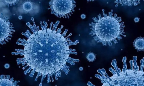  新研究显示自然界存在与新冠病毒密切相关的病毒