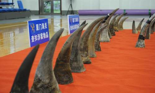 厦门海关破获特大犀牛角走私案  案值过亿元