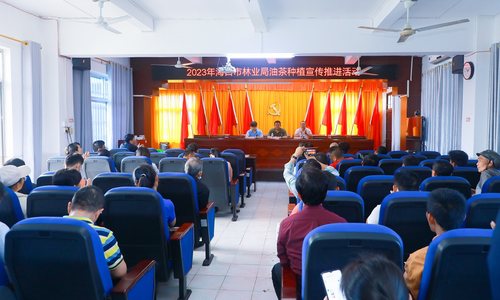加快发展油茶产业，海口市林业局在大致坡镇开展油茶种植宣传推进活动